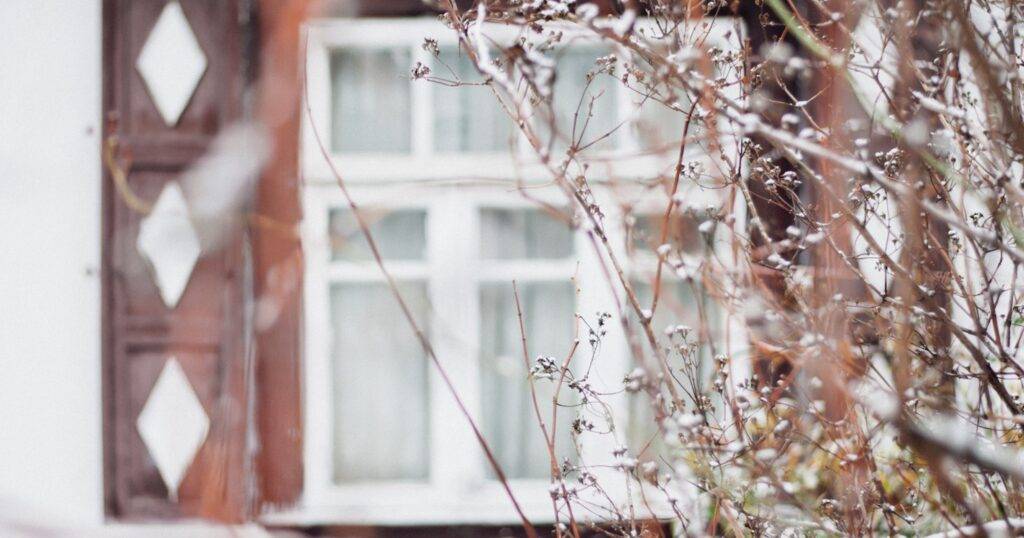 article featured image