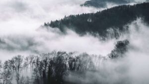 delayed deliverances