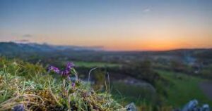 हर्ष के साथ स्तुति करना