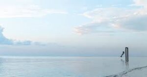 असम्भव विश्वास