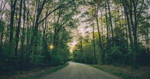 Sin Satan Sickness or Sabotage