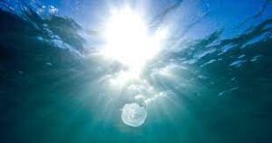 The Seminary of Suffering