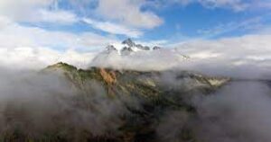 Glorify God by Giving Thanks