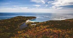 The Gravity of Gratitude