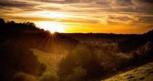 The Marvel of Creation