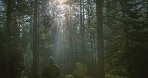 We Honor What We Enjoy