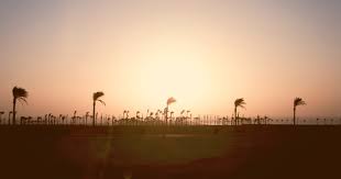 महिमा ही लक्ष्य है