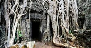 हमारे लिए पुनरुत्थान का क्या अर्थ है