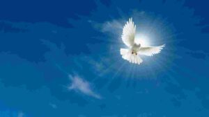 हम कैसे जान सकते हैं कि हम में पवित्र आत्मा है? 2 Holy Spirit