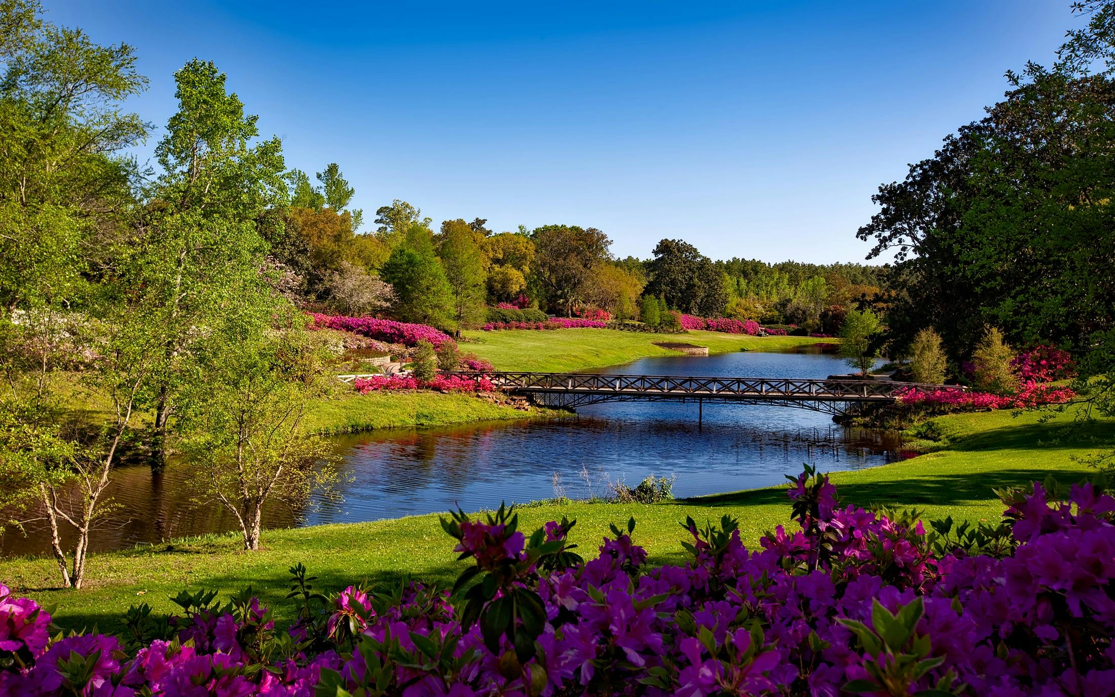 सुसमाचार-केन्द्रित क्षमा और मेल-मिलाप। 3 A beautiful spring garden landscape featuring vibrant pink flowers, a serene river, and a picturesque bridge.